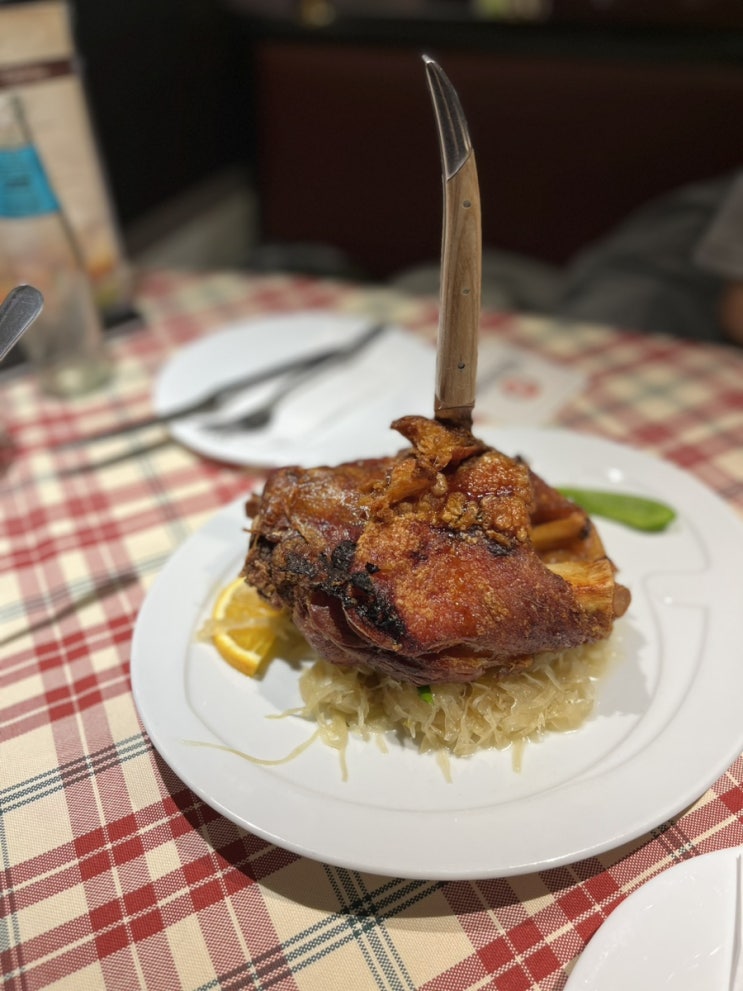  독일여행 프랑크푸르트맛집 슈바인학센이 맛있었던 뢰머광장 Römer Pils Brunnen