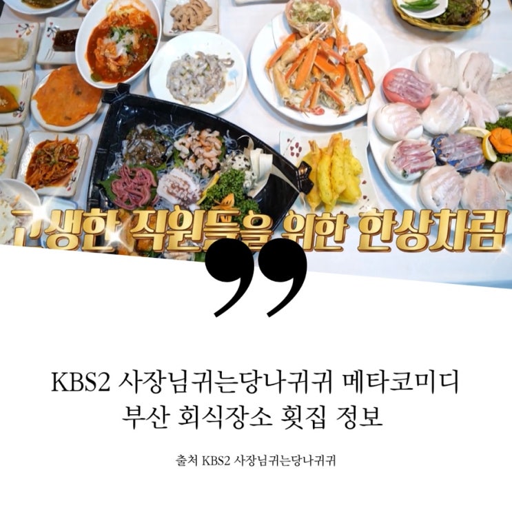  사장님귀는당나귀귀 메타코미디 부산 횟집 식당 정보 국제코미디페스티벌 회식 뒷풀이 해산물 자연산모둠회 대게 정영준 조진세 곽범 엄지윤 이창호 김원훈 부코페 성공기념 횟집 회동