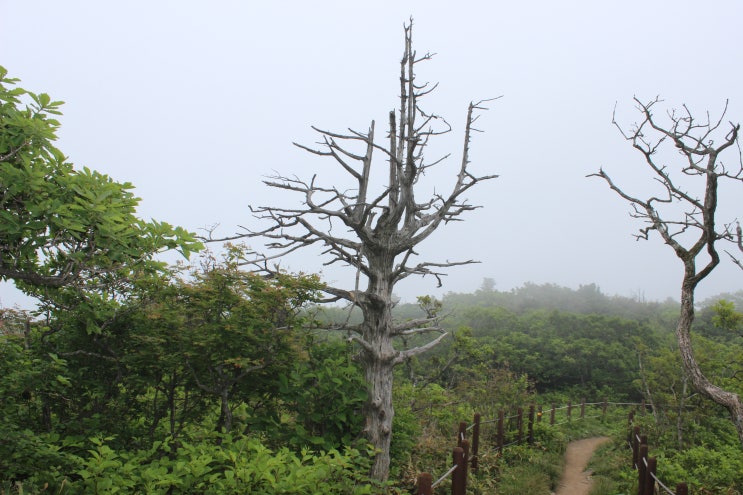  무주(덕유산) 여행