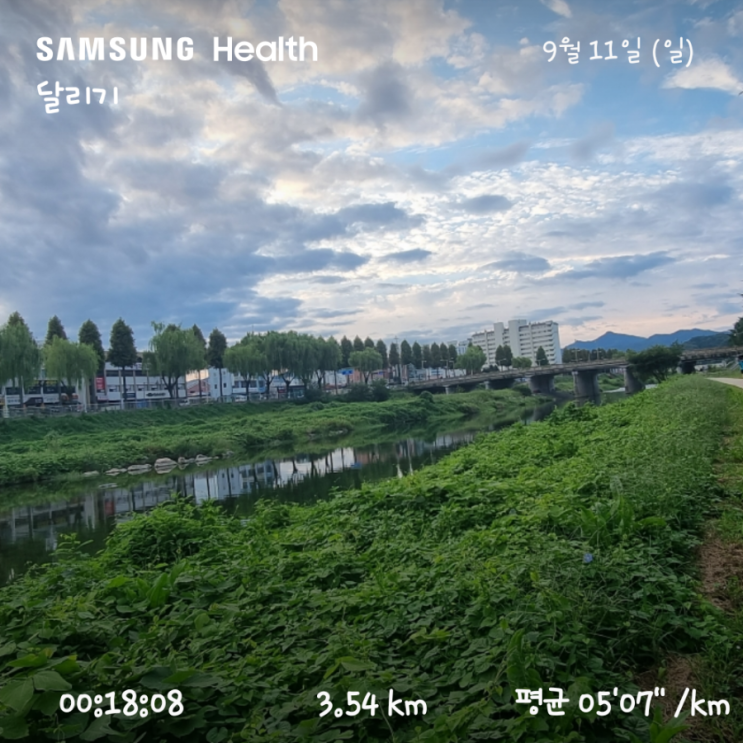  [운동 일기] 13일 -16일 차 백석천, 전주천