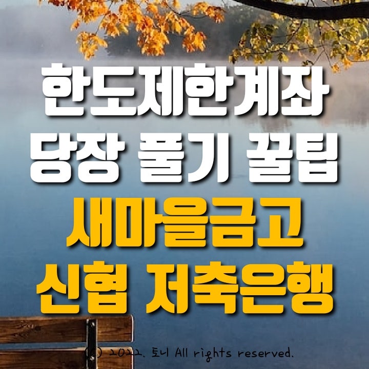 새마을금고 입출금통장 한도계좌 즉석 해제 팁 비대면 가입 중 "인터넷뱅킹 해지" "창구방문하세요" 오류메세지 나올 때 해결팁 신협, 저축은행, 일반은행 한도계좌 한도해제팁 새마을금고 입출금통장 한도계좌 즉석 해제 팁 비대면 가입 중 "인터넷뱅킹 해지" "창구방문하세요" 오류메세지 나올 때 해결팁 신협, 저축은행, 일반은행 한도계좌 한도해제팁