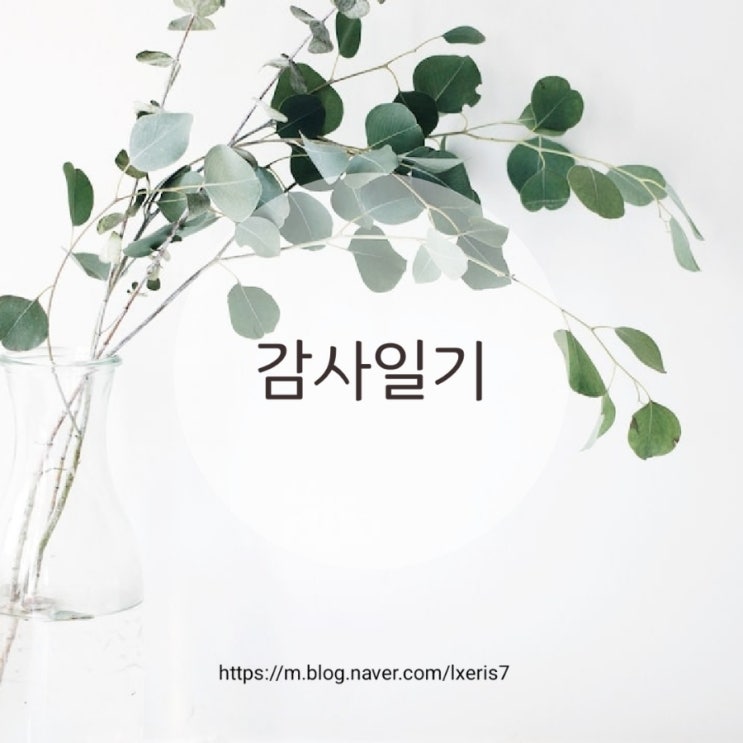  9월 18일 어머님 생신 감사일기