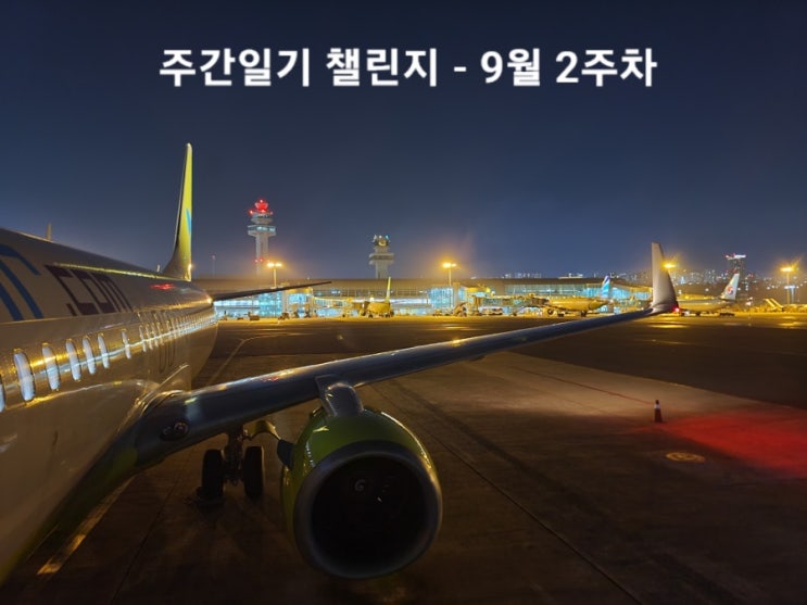  야근과 함께한 일상,,,,정신 없었던 한주일기,,,