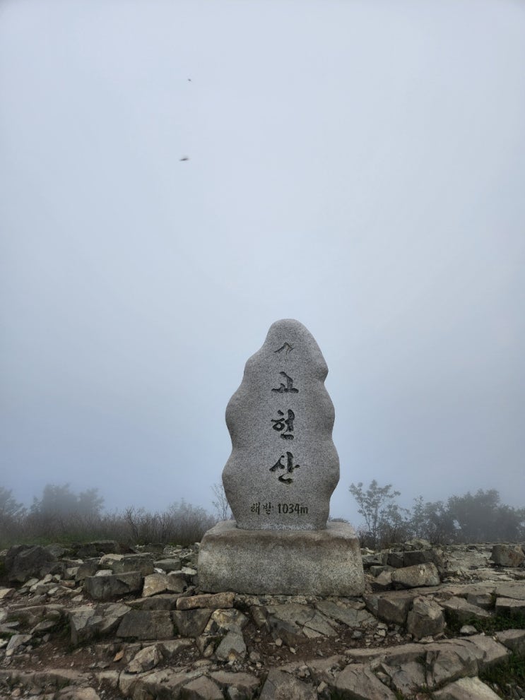  영남알프스 다음매일  고헌산  영알9봉인증