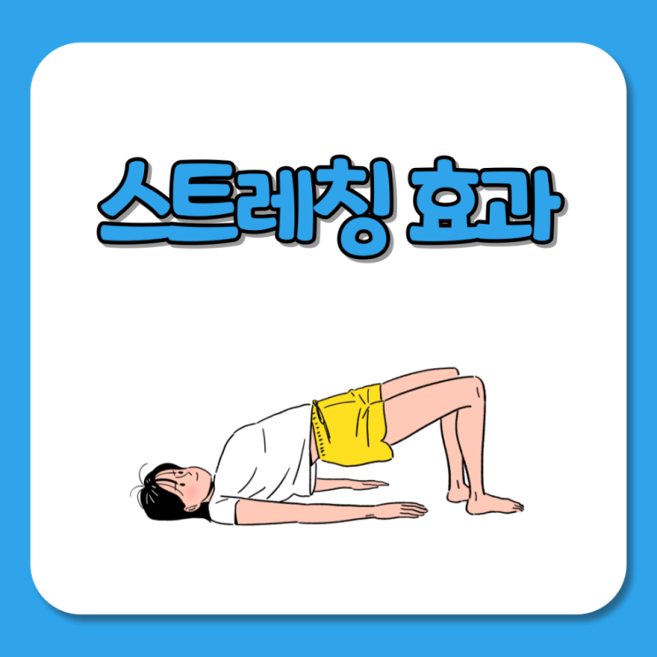  스트레칭지도자 스트레칭 효과, 올바른 스트레칭 방법