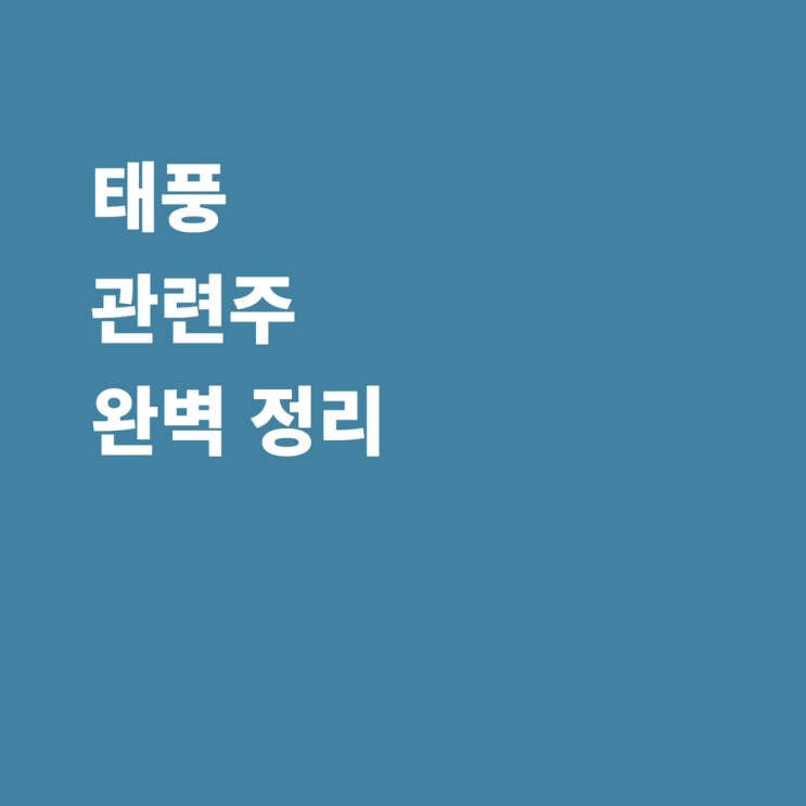  태풍 관련주 인선이엔티 코엔텍 KGETS 성보화학 남해화학 경농 조비 대동 위닉스 파세코 신일전자 주가 전망