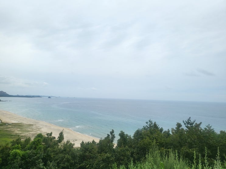 똥 꿈해몽