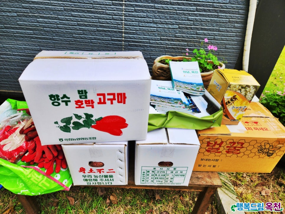 메쥐골농원 사진 4