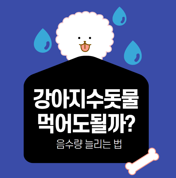  강아지 수돗물 먹어도 될까요? 여러가지 방법까지