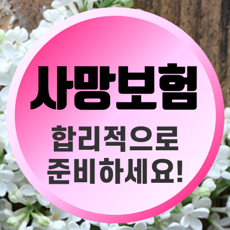 일반사망보험금 비교 후 저렴한 비용의 회사를 찾아보자.