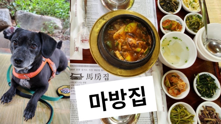 하남 애견동반 식당 마방집 100년 역사 한옥에서 한정식 하남 애견동반 식당 마방집 100년 역사 한옥에서 한정식