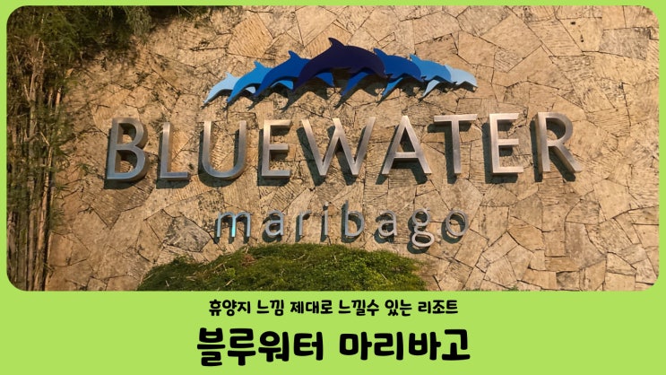 세부 리조트 막탄 블루워터 마리바고 비치 리조트 아무마 스위트룸 가성비 최고