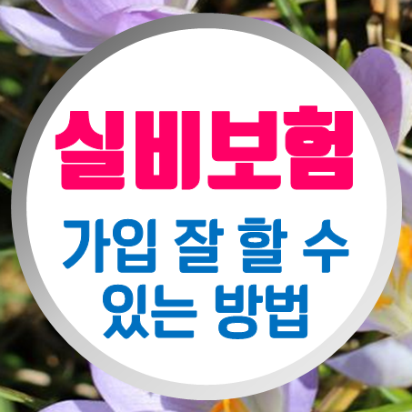  노후실비보험 가입 잘 할 수 있는 방법을 고민해 보았다.