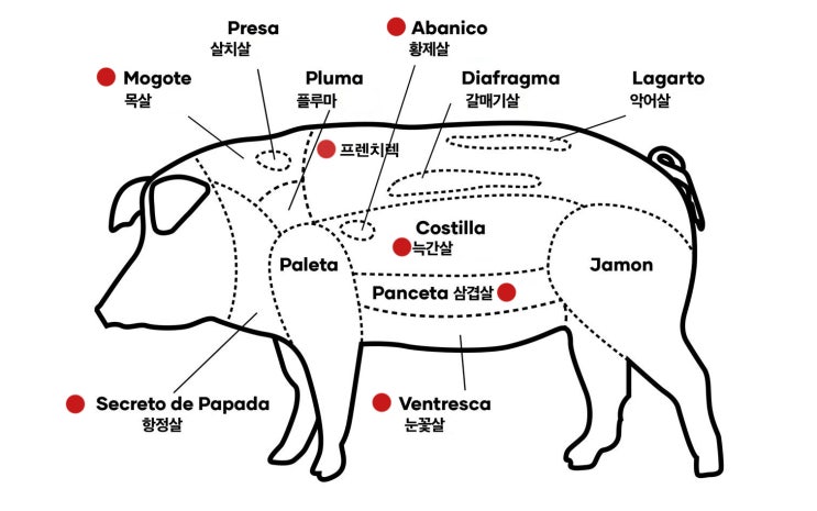  이베리코 설명
