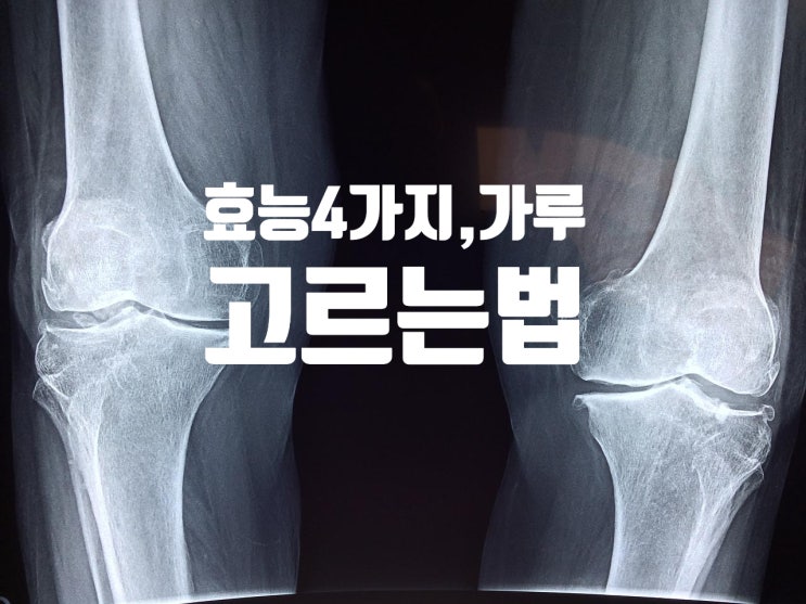 콘드로이친 효능, 콘드로이친 가루, 음식 ,부작용 체크