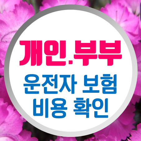  부부운전자보험 가입할 때 비용은 얼마 정도 하는지 확인해 볼 수 있다.