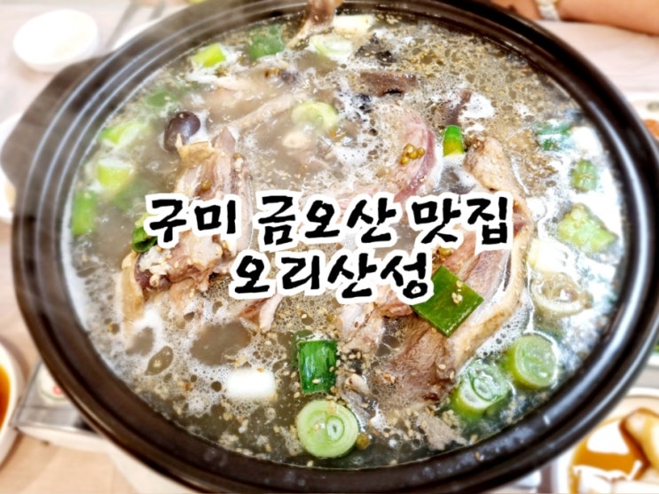  구미 금오산 맛집 오리산성 (feat. 한방오리백숙맛집)