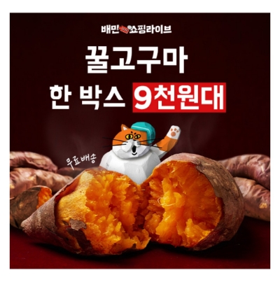 9월 19일 캐시워크 돈버는퀴즈 배민 꿀고구마 정답