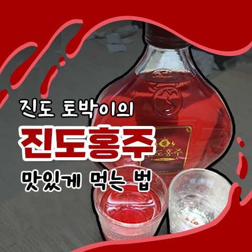  진도 토박이의 "진도홍주" 먹는 법 | 칵테일 제조, 안주 페어링