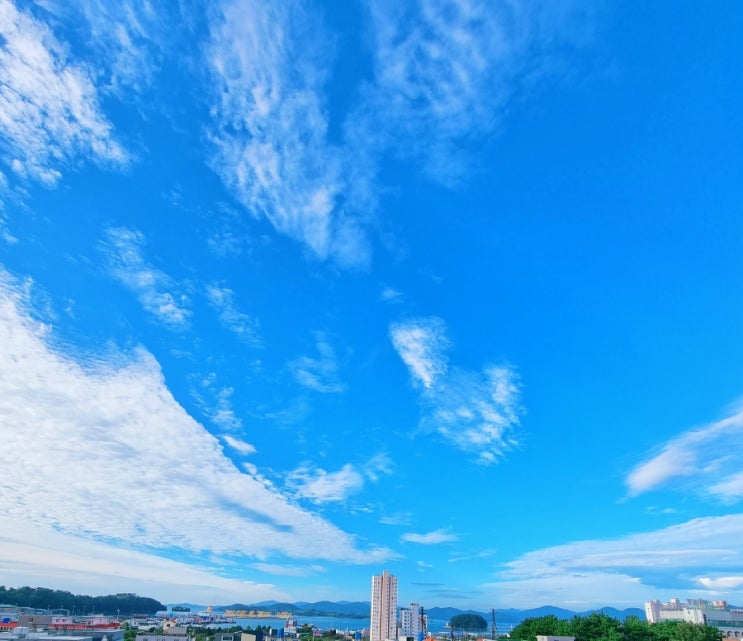  가을이 익어갑니다 - 개구리, 연못, 가을하늘 무지개, 꾸지뽕  열매