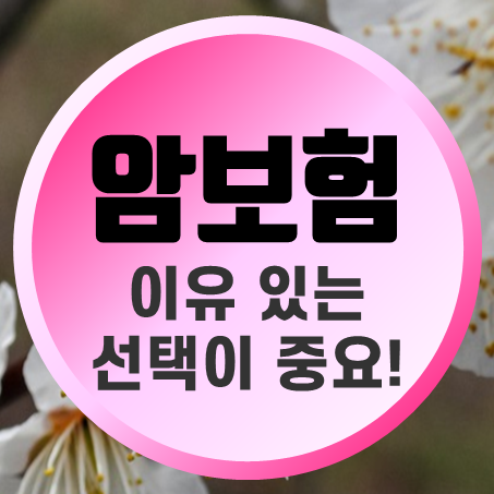  60세암보험 추천, 이유 있는 선택이 중요하다.
