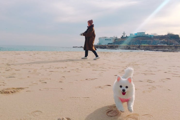  2018.1.7 똑똑이의 첫 바다여행 속초