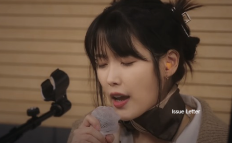 아이유 나이 본명 이관개방증 진단 하품할 때처럼 귀 열려 콘서트서 고백한 귀 질환, 어떤 증상이길래?