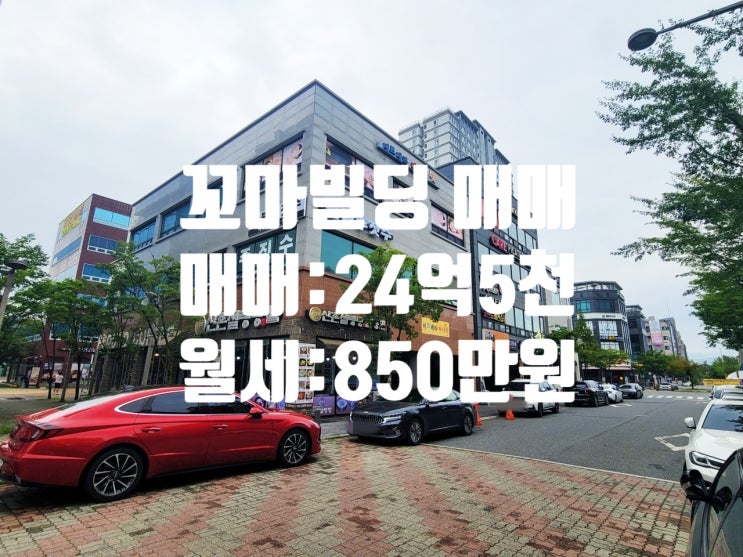  대전 관평동 현대아울렛 인근 상업지역 코너 각지 주택 없는 꼬마빌딩 매매