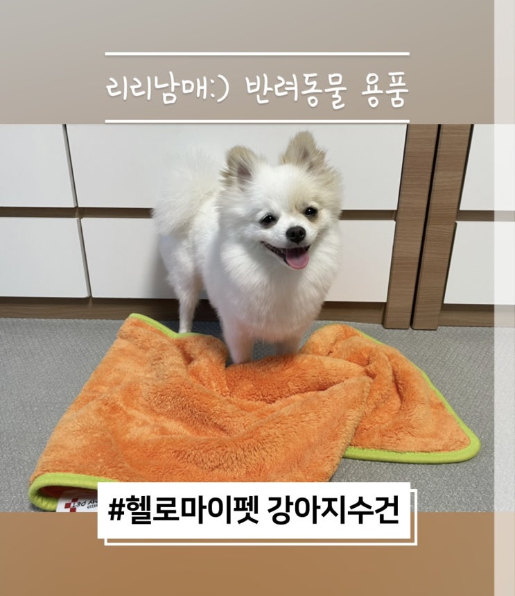  댕댕극세사타올 강아지수건 강아지타올 강아지목욕수건 강아지목욕타올 펫타월 펫타올