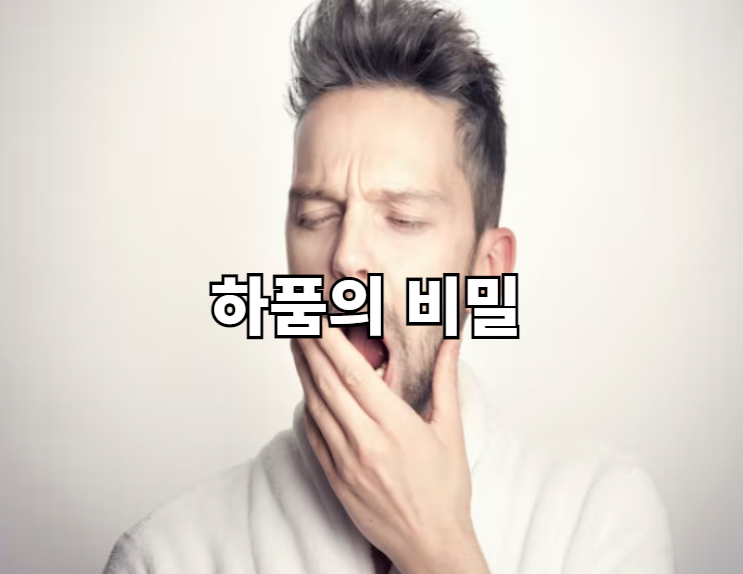  하품이 계속 나와요. 하품의 비밀을 알아보자