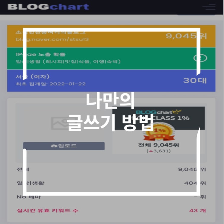  초보블로거가 최적1이 되기까지의 글쓰는 팁
