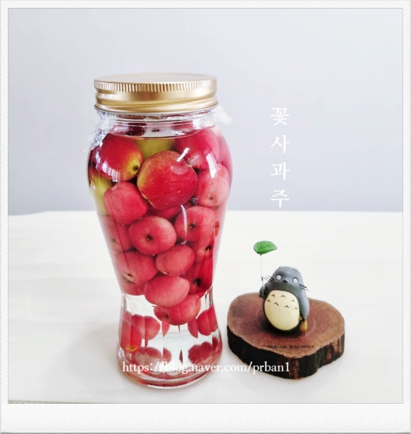 사과종류 꽃사과보관법 효능 사과주 과일 담금주 만들기 사과보관방법