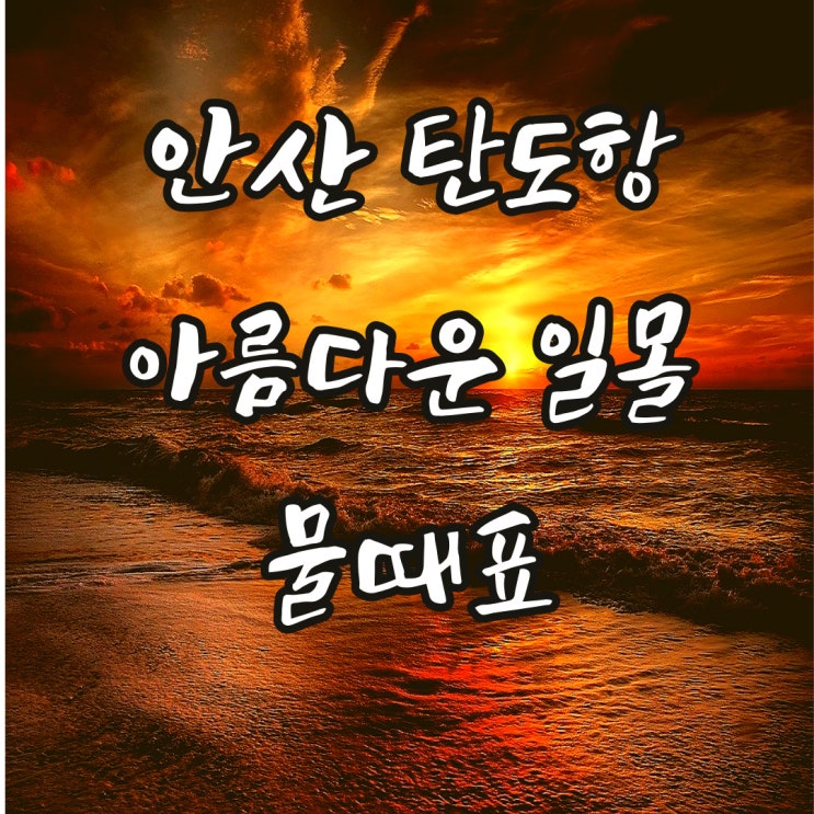  탄도항 누에섬 붉게 물든 아름다운 서해 일몰 명소 ㅣ 물때표