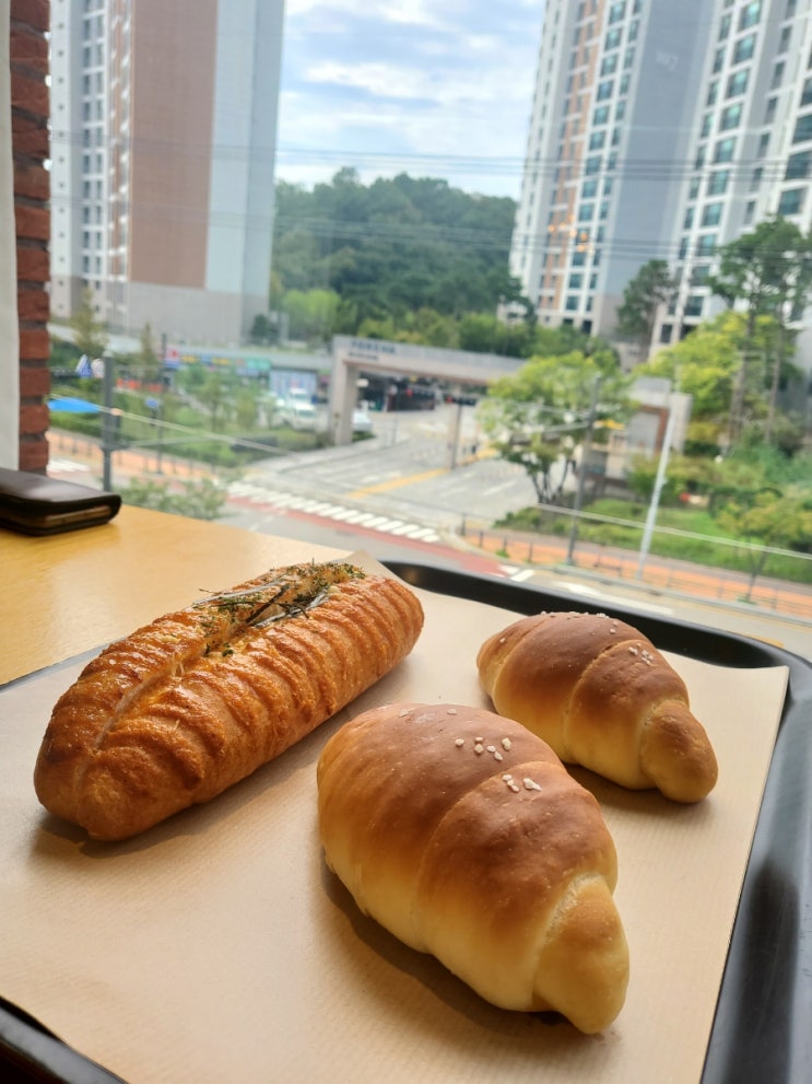  소금빵, 명란바게트 맛집 <본누벨 베이커리> 리뷰