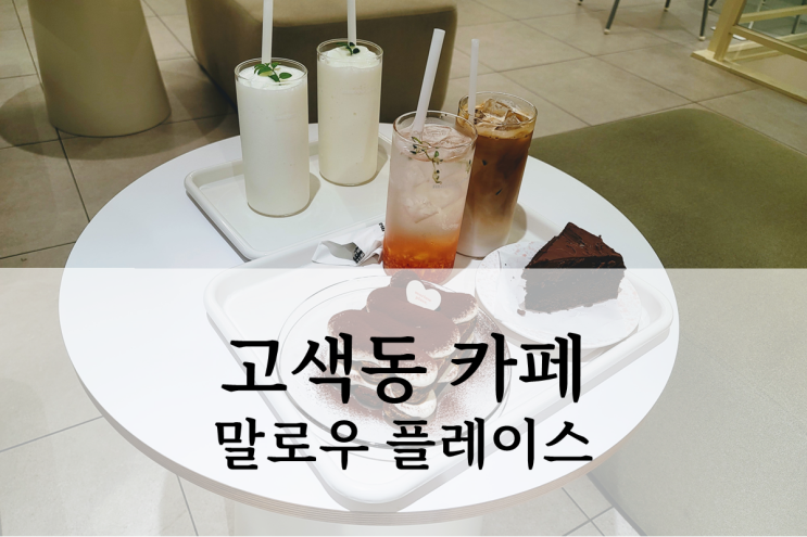  고색동 카페 말로우 플레이스 방문 후기