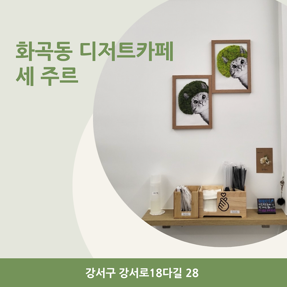 세주르 사진 1