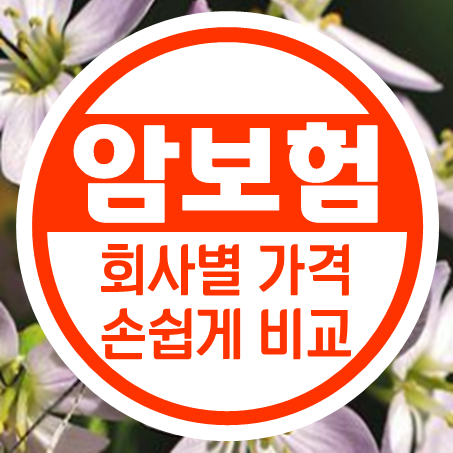  암보험료 저렴한 회사가 어디인지 금방 알아낼 수 있다. 근데 이걸로 끝?