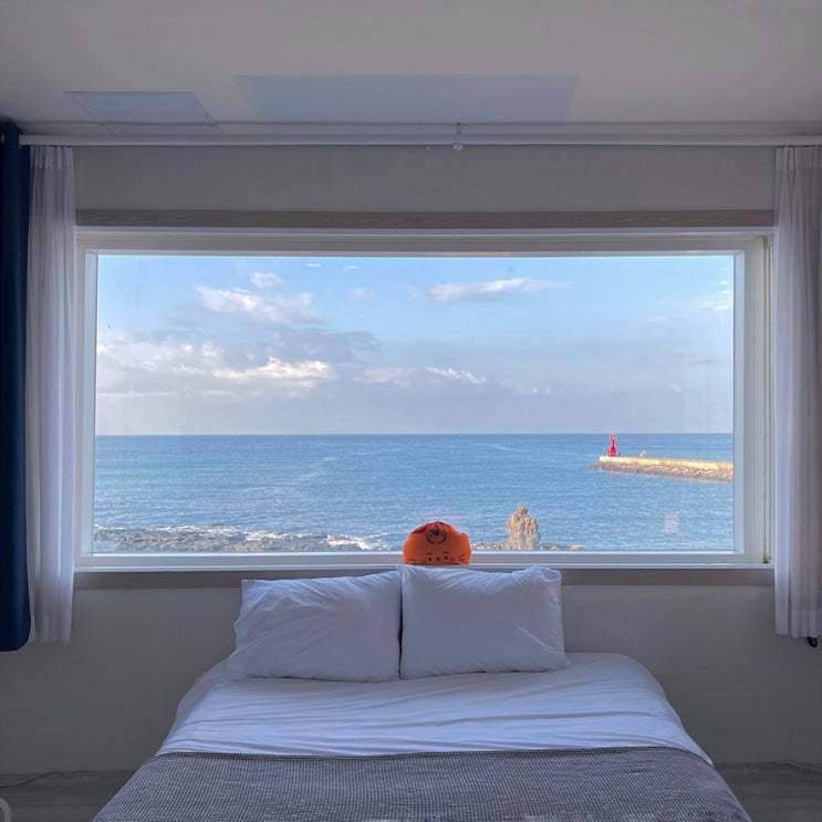 제주도 애월 한림 서귀포 1박 2일 자유 여행 코스 제주도 애월 한림 서귀포 1박 2일 자유 여행 코스