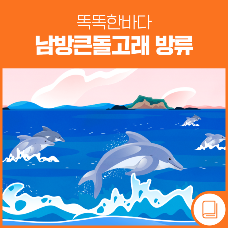 고향으로 돌아간 친구들, <b>남방큰돌고래</b>
