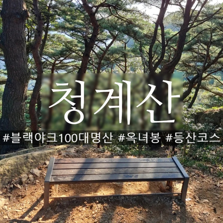 청계산 옥녀봉 등산코스 지름길 우수조망 및 경관 추천장소
