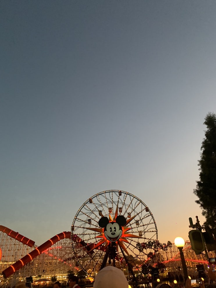  캘리포니아 어드밴처 파크 Disney California Adventure Park, la디즈니랜드어드밴처 할로윈