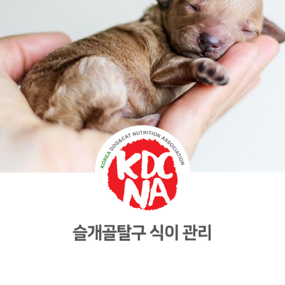  강아지 슬개골탈구 및 관절에 좋은 음식 [한국반려동물영양협회/댕밀헌/강아지화식/펫푸드자격증/청주/대전/광주/목포/논산_1005]