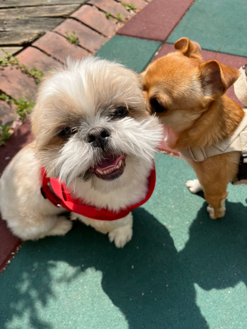 사진 5