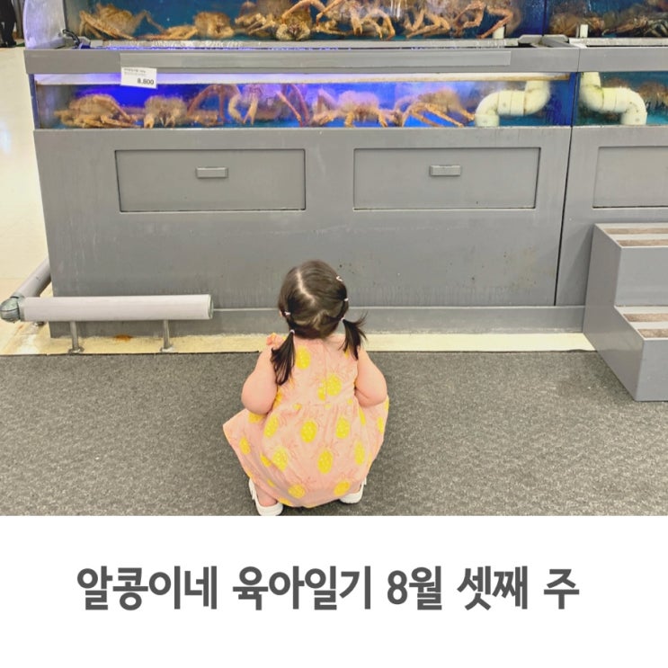  알콩이네 육아일기 8월 셋째 주, 부쩍 큰 알콩이의 두번째 여름