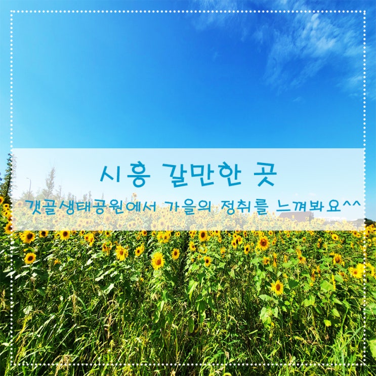  시흥 갈만한 곳 갯골 생태공원에서 가을의 정취를 느껴봐요^^