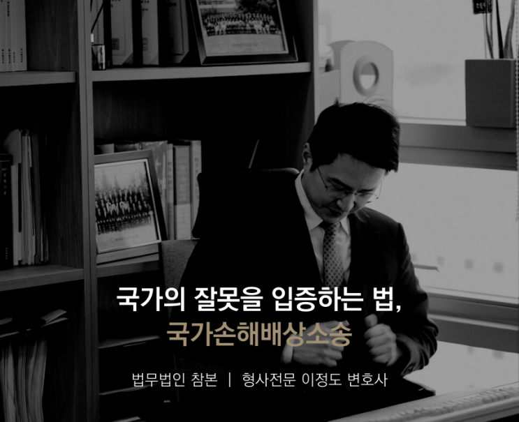  국가의 잘못을 입증하는 법, 국가손해배상소송