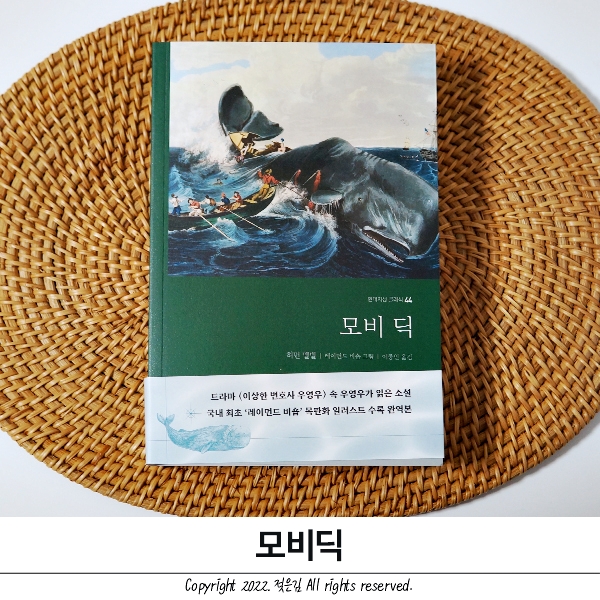 필수고전소설 하먼 멜빌의 모비딕 필수도서로 추천 필수고전소설 하먼 멜빌의 모비딕 필수도서로 추천