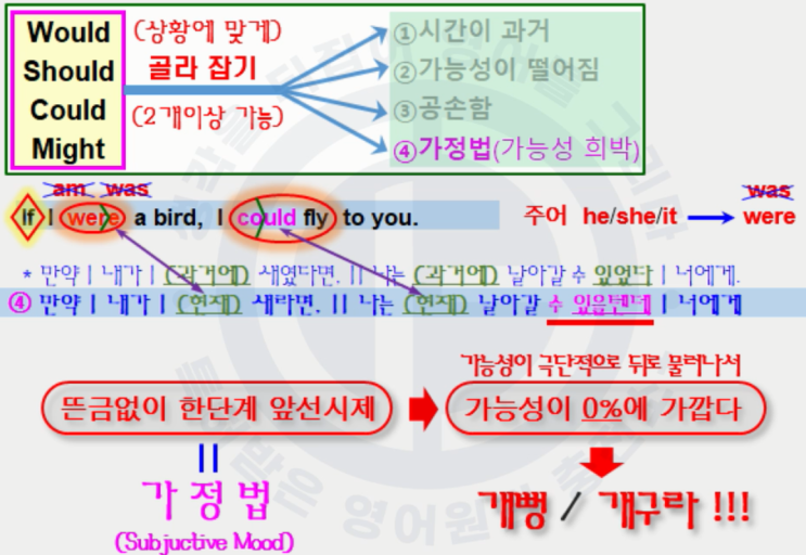  [07강] 가정법과 조동사