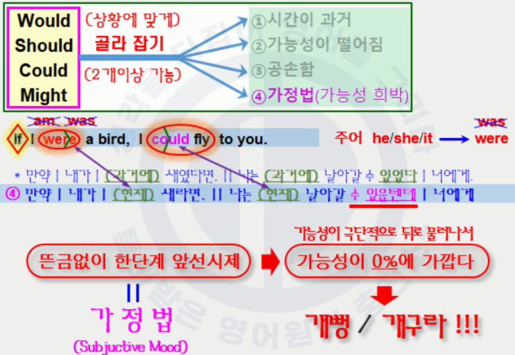 [07강] 가정법과 조동사