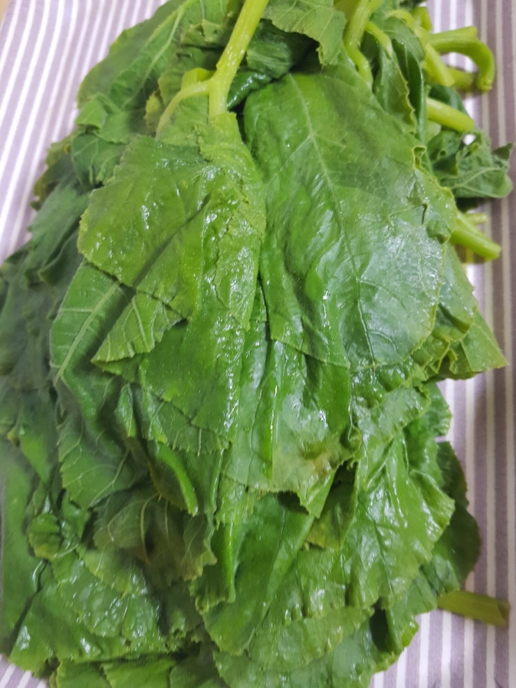  호박잎/박조림 맛있네요.